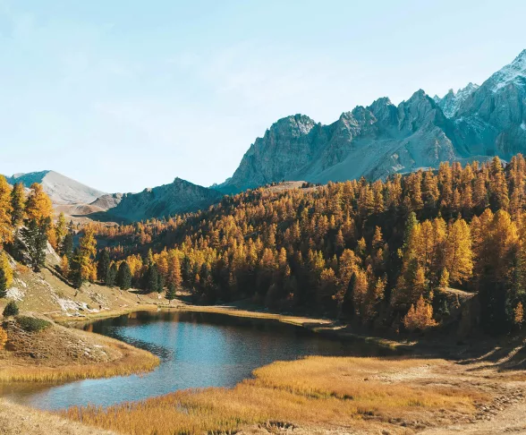 Wide view of a calm mountain lake surrounded by golden autumn trees, signifying clarity and stability in psychotherapy.
